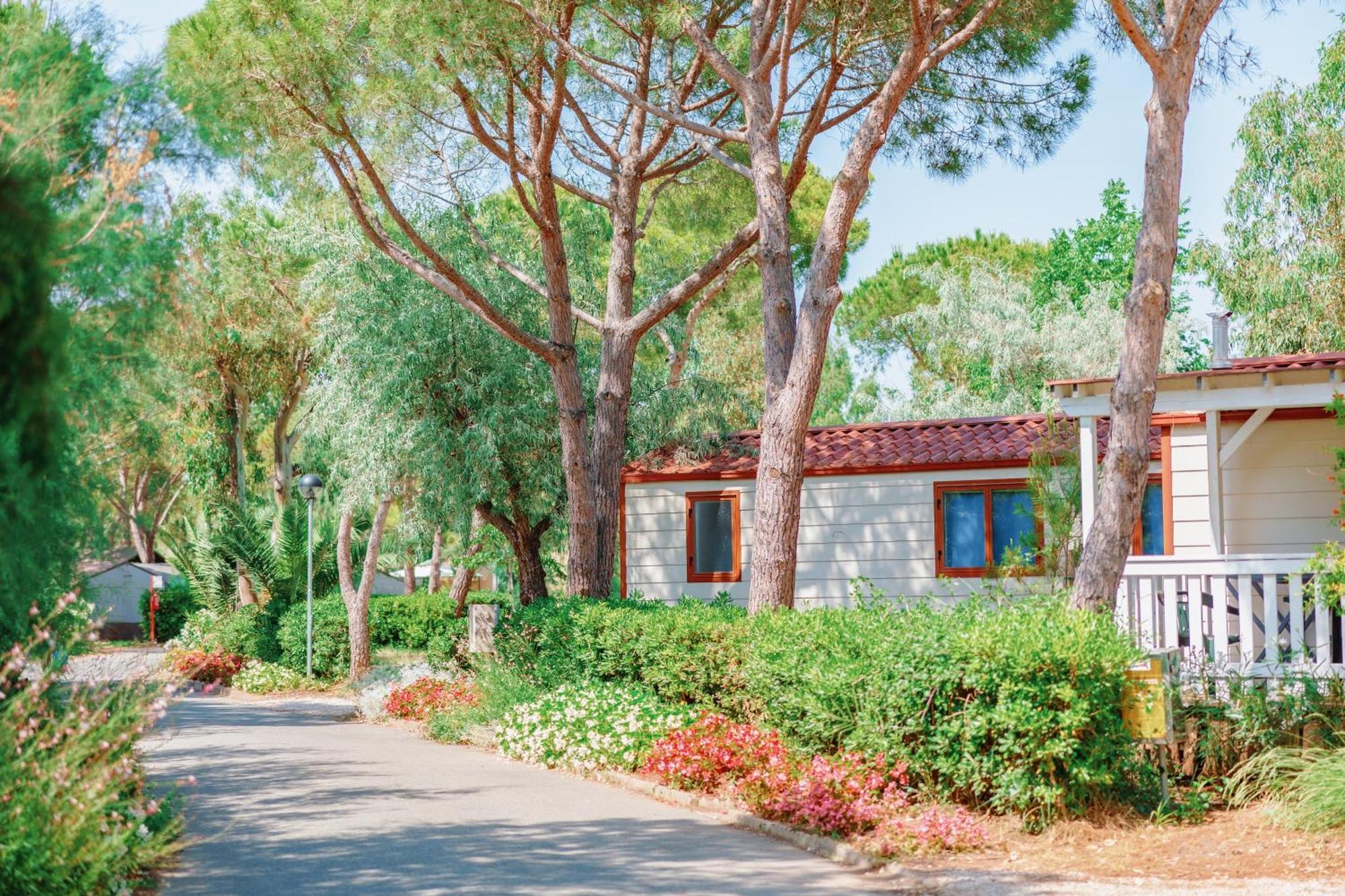 Toscana Bella Camping Village Vada Exterior foto